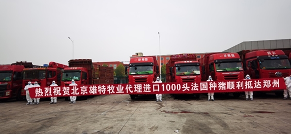 5fd2de6975784.jpg