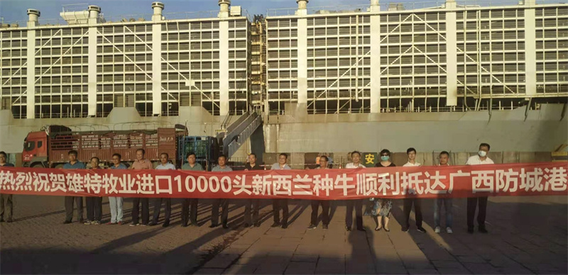 60eef30dd538d.jpg 08b5523ccb31e5abebf859505b7bffc.jpg
